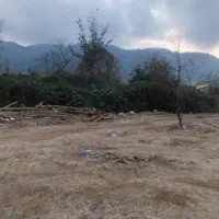 فروش زمین مسکونی|فروش زمین و ملک کلنگی|لاهیجان, لیالستان|دیوار