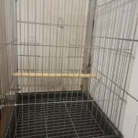 قفس طوطی یا عروس قفس بزرگ