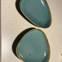 ظروف پذیرایی