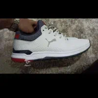 کتونی پوما اصل