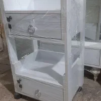 توضیع وپخش انواع ترولی.