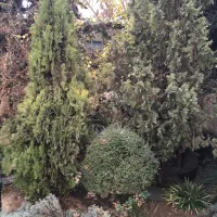 260مترمستغلات-برشریعتی-مناسب-کاروسکونت-دسترسی-عالی