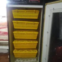 لوازم جانبی حیوانات|لوازم جانبی حیوانات|قنوات, |دیوار