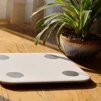 ترازوی هوشمند شیامی