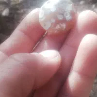 سنگ کهنه قدیمی|کلکسیون اشیاء عتیقه|کرمان, |دیوار