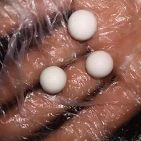 الماس اسیاب  اصلی