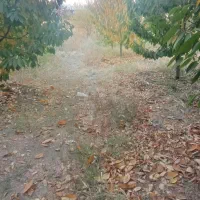 فروش خونه باغی به متراژ ۱۳۷۵متر