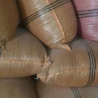 کاه سفید جو امسال