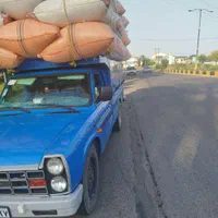 فروش کاه