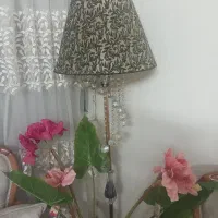 آباژور کاملا سالم