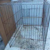 قفس 52 و لانه فنچ|لوازم جانبی حیوانات|شیراز, لشکری‎|دیوار