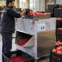 دستگاه جداکننده‌ی دانه انار، جایگزین چند کارگر