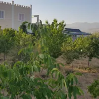 زمین باغی|فروش زمین و ملک کلنگی|تهران, کوثر|دیوار