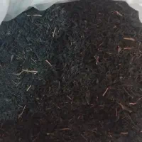 چای لاهیجان بهاره و درجه یک