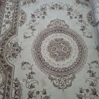 قالی ۶ متری ۵۰۰ شانه گوشتی