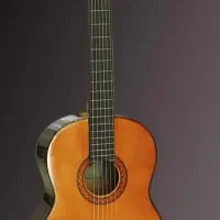 گیتار اموزشی
