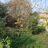 زمین شهری در شاندرمن مسکونی|فروش زمین و ملک کلنگی|شاندرمن, |دیوار