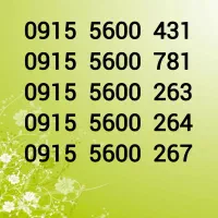 0915-5600431