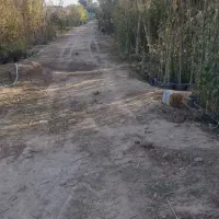 **۱۵۰۰ متر زمین اجاره‌ای در ماهدشت**|اجارهٔ دفتر صنعتی، کشاورزی، تجاری|محمدشهر, محمدشهر|دیوار