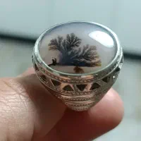 انگشتر شجر|جواهرات|تهران, یافت‌آباد|دیوار