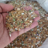 دانه پرنده وخاکشیر سوپر لوکس(nova)