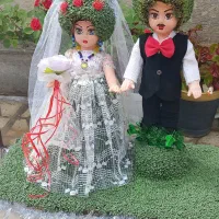 سبزه|گل و گیاه طبیعی|کوهدشت, |دیوار