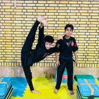 هنرهای رزمی نین جوتسو(نینجا)