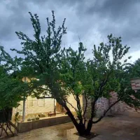 باغ ویلا فول ،شهریار اسفندآباد معاوضه / تهاتر|فروش خانه و ویلا|شهریار, شهریار|دیوار