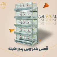 نمایندگی قفس آشیونه در استان سمنان