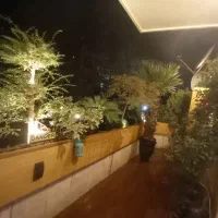 طراحی.اجرا.نگهداری گل و گیاه و درخت|خدمات باغبانی و درختکاری|تهران, درکه|دیوار