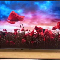 تلویزیونتو اقساطی بخر بدون سود