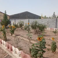 550متر باغچه|فروش زمین و ملک کلنگی|اصفهان, سرشبادران|دیوار