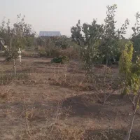 باغچه500متر-احمداباد