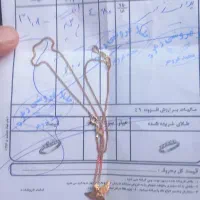 زنجیر پلاک|جواهرات|دهدشت, |دیوار