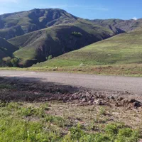 فروش زمین ۵۰۰ متر|فروش زمین و ملک کلنگی|طالقان, |دیوار