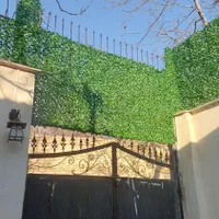 نصاب چمن  مصنوعی|خدمات باغبانی و درختکاری|هشتگرد, سیف آباد|دیوار