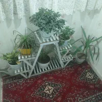 گلدون و مخلفات