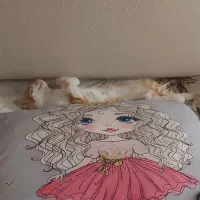 گربه