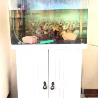 اکواریوم با پایه
