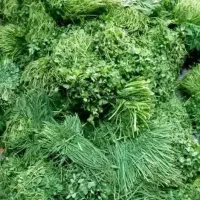 سبزی شوشتر دسته 7تومن