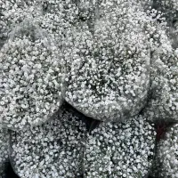 فروش گل عروس دسته پر