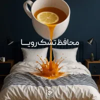 محافظ تشک رویا و محصولات خواب