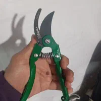 قیچی درخت ژاپنی|ابزارآلات|رفسنجان, |دیوار