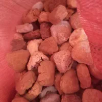 سلام|خوردنی و آشامیدنی|چگنی, |دیوار