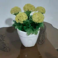 گل کریستالی|گل مصنوعی|یاسوج, |دیوار