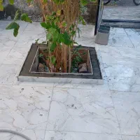 خدمات کاشیکاری