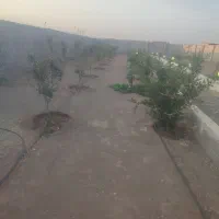 باغ چهاردیواری