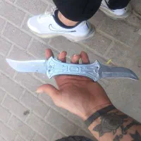 کبوتر|پرنده|شیروان (خراسان), |دیوار