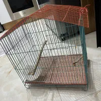 قفس پرنده|لوازم جانبی حیوانات|اسلام‌شهر, باغ فیض|دیوار