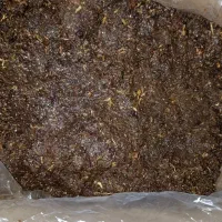 کشمش آبگیری